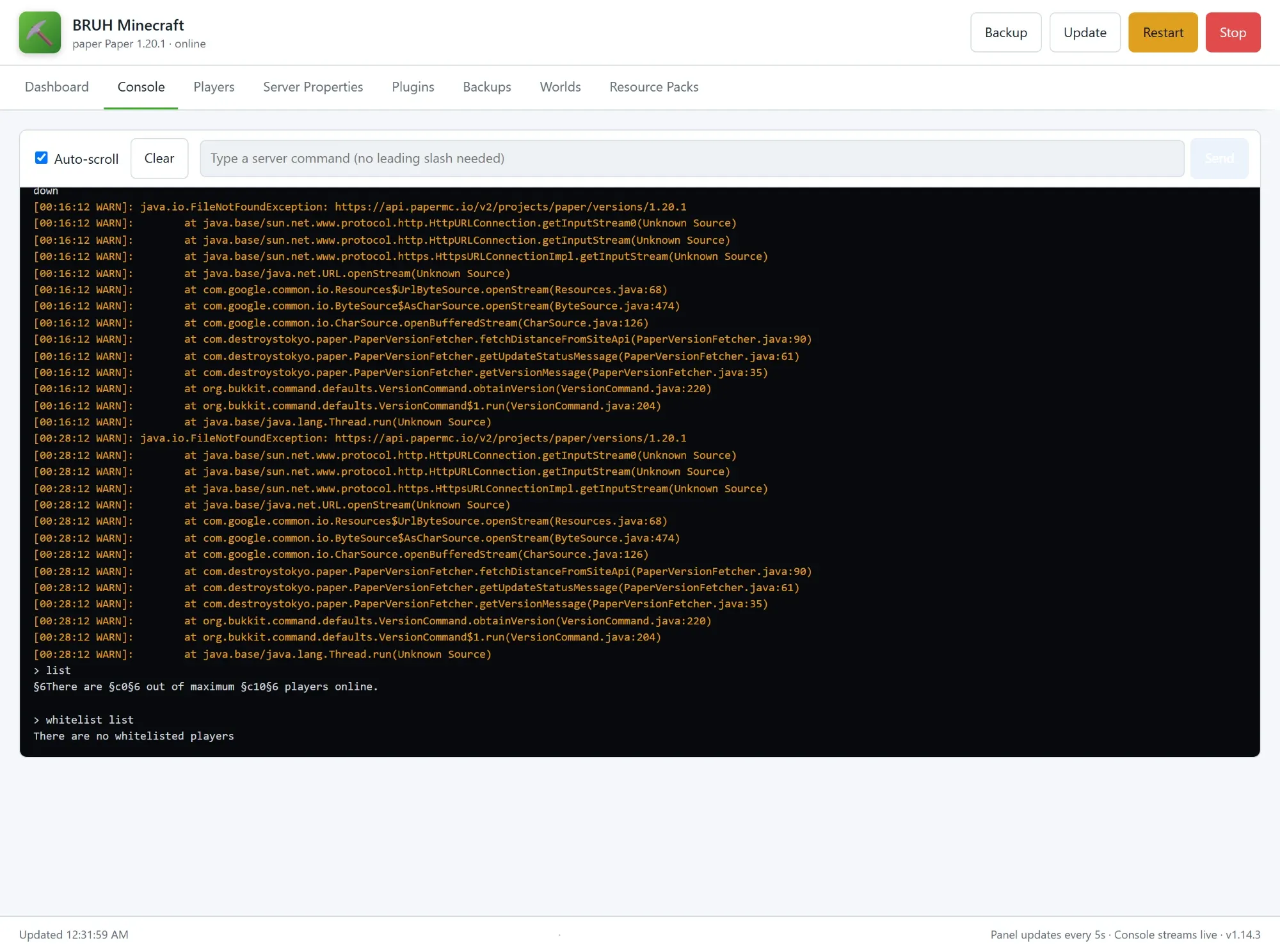 The BRUH Minecraft panel's Console tab, showing the tab bar — Dashboard, Console, Players, Server Properties, Plugins, Backups, Worlds, Resource Packs — above the live server log and command bar